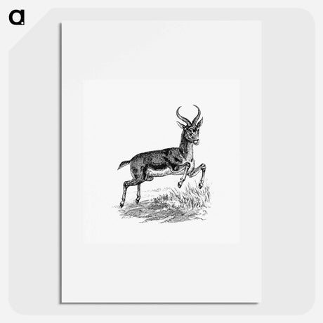 アートポスター-Buck Deer from Portuguese Expedition to Muatianvua
 - 大英図書館 Poster.
