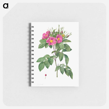 アートメモ帳-Pasture Rose
 - クリーブランド美術館 Memo.