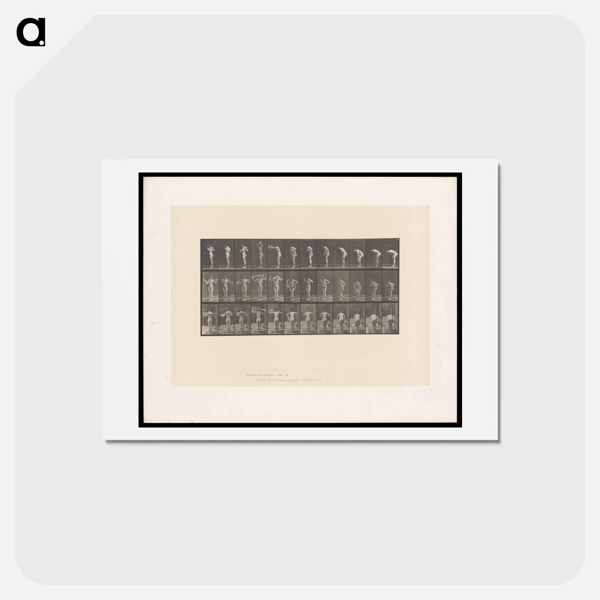 アートポストカード-Woman with Towel
 - エドワード マイブリッジ Postcard.