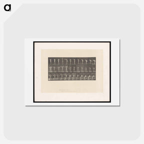 アートポストカード-Woman with Towel
 - エドワード マイブリッジ Postcard.