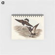 アートメモ帳-Black-bellied Storm Petrel
 - オーストラリアの鳥 Memo.