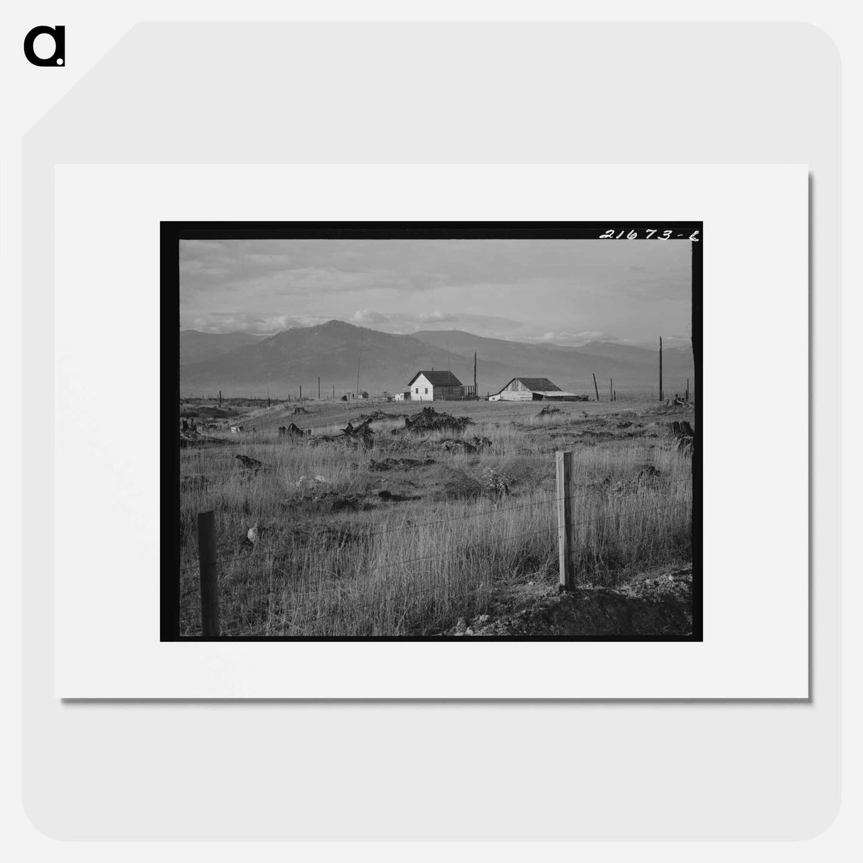 New home, new fence, newly cleared land of farmer starting up on cut-over land. - Dorothea Lange Poster.