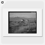 New home, new fence, newly cleared land of farmer starting up on cut-over land. - Dorothea Lange Poster.