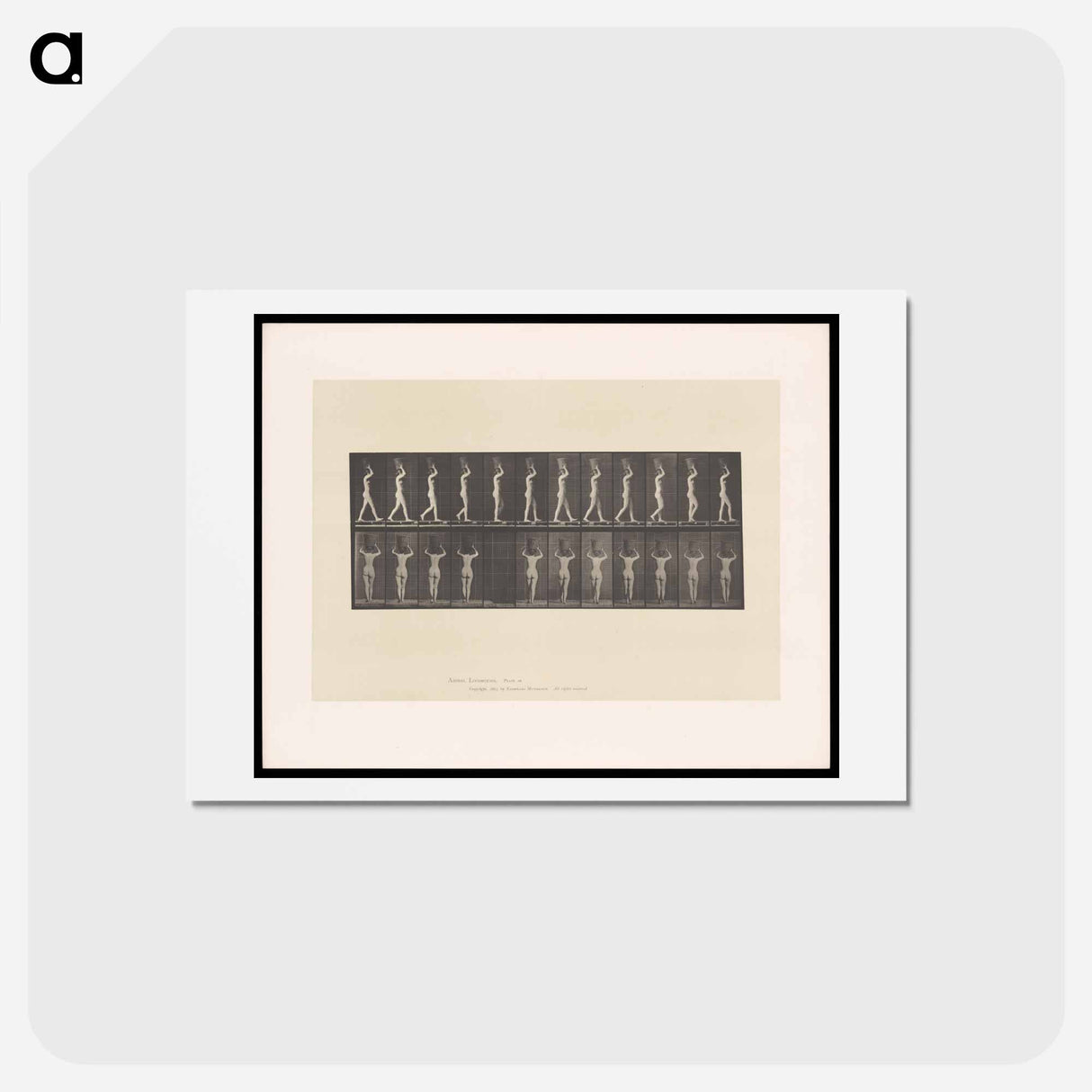 アートポストカード-Woman with Basket
 - エドワード マイブリッジ Postcard.