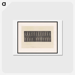 アートポストカード-Woman with Basket
 - エドワード マイブリッジ Postcard.