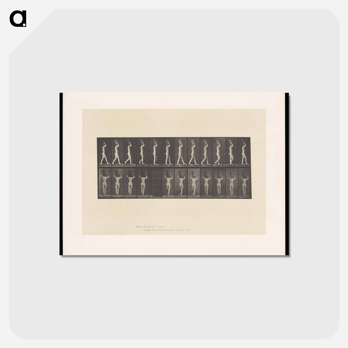 アートポストカード-Woman with Basket
 - エドワード マイブリッジ Postcard.