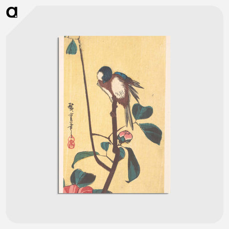 アートポストカード-Camellia and Blue-Headed Bird
 - 歌川 広重 Postcard.