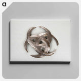 アートパネル-Repoussé Plaque
 - バーンズ・コレクション Canvas.