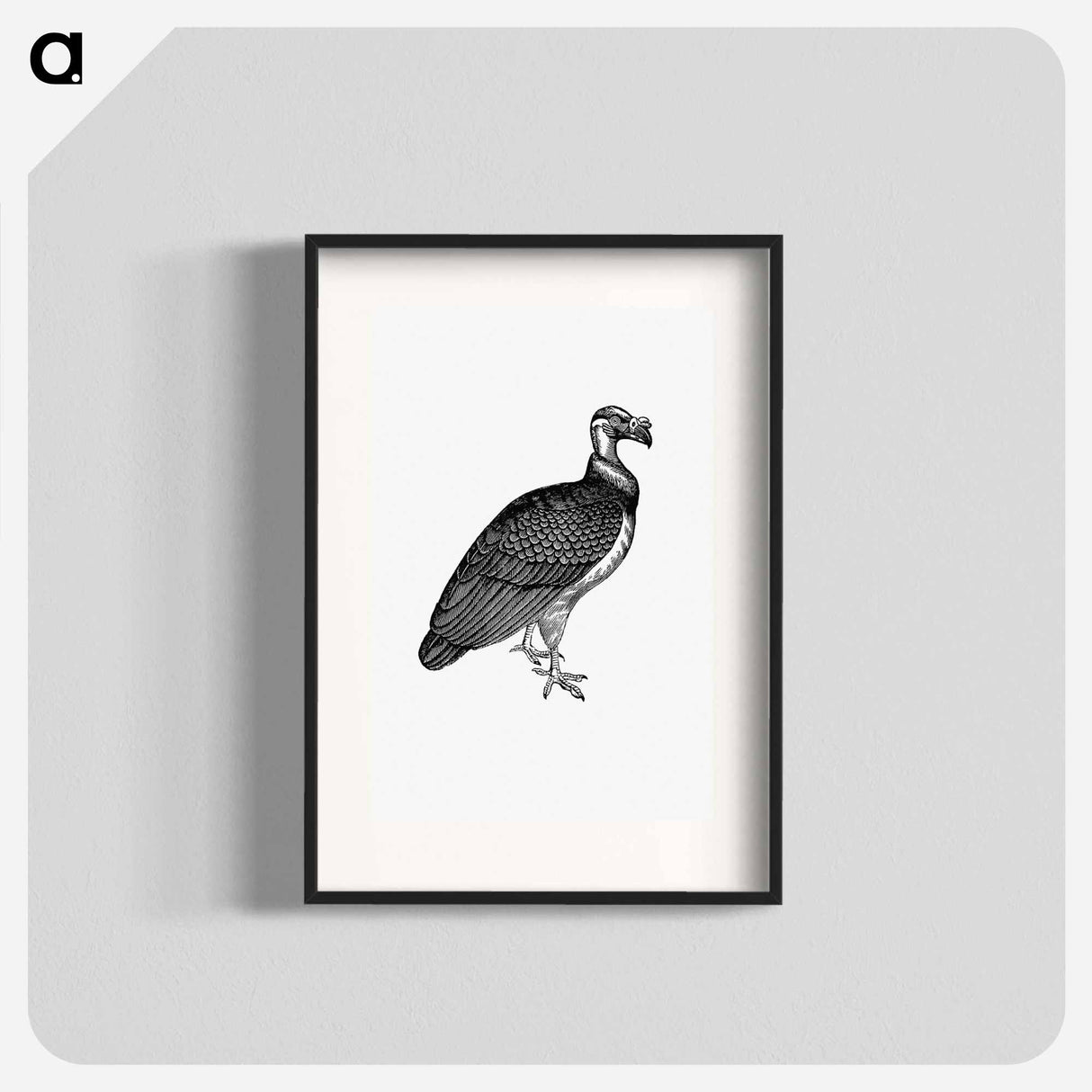 アートポスター-King Vulture, Honduras
 - 大英図書館 Poster.