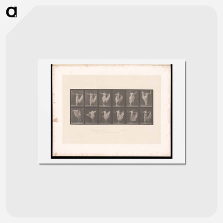 アートポストカード-Dancing Woman
 - エドワード マイブリッジ Postcard.