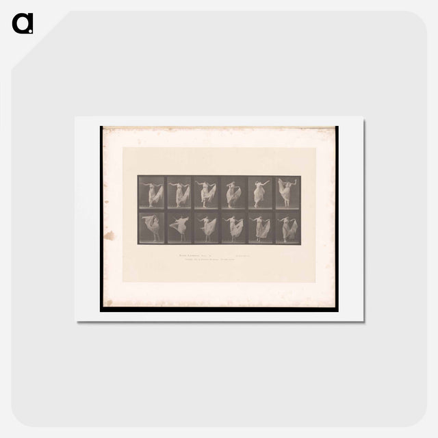 アートポストカード-Dancing Woman
 - エドワード マイブリッジ Postcard.