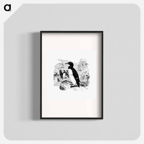 アートポスター-Victorian Style Penguins Engraving
 - 大英図書館 Poster.