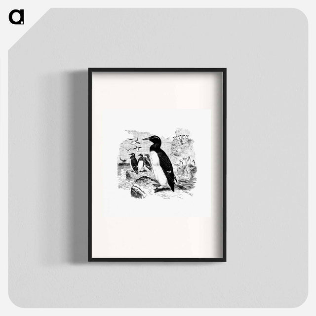 アートポスター-Victorian Style Penguins Engraving
 - 大英図書館 Poster.