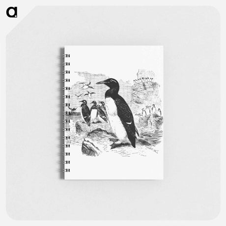 アートメモ帳-Victorian Style Penguins Engraving
 - 大英図書館 Memo.