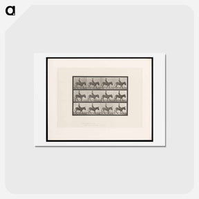 アートポストカード-Boy on Ass
 - エドワード マイブリッジ Postcard.