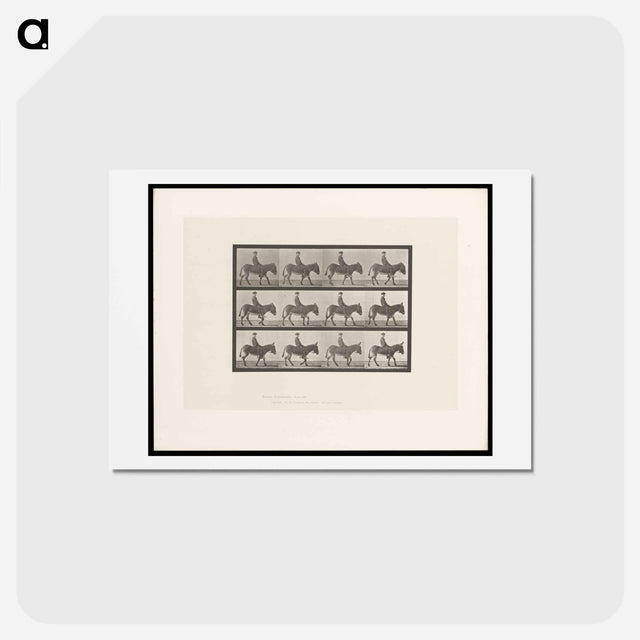 アートポストカード-Boy on Ass
 - エドワード マイブリッジ Postcard.