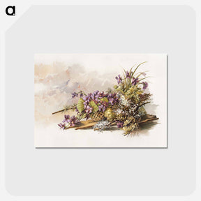 アートポストカード-Violets
 - ボストン公共図書館 Postcard.