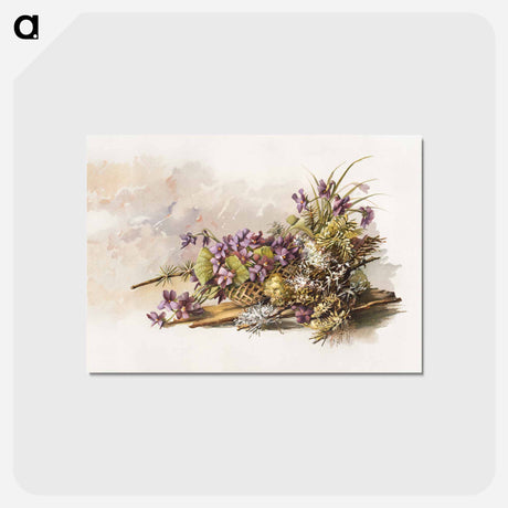 アートポストカード-Violets
 - ボストン公共図書館 Postcard.