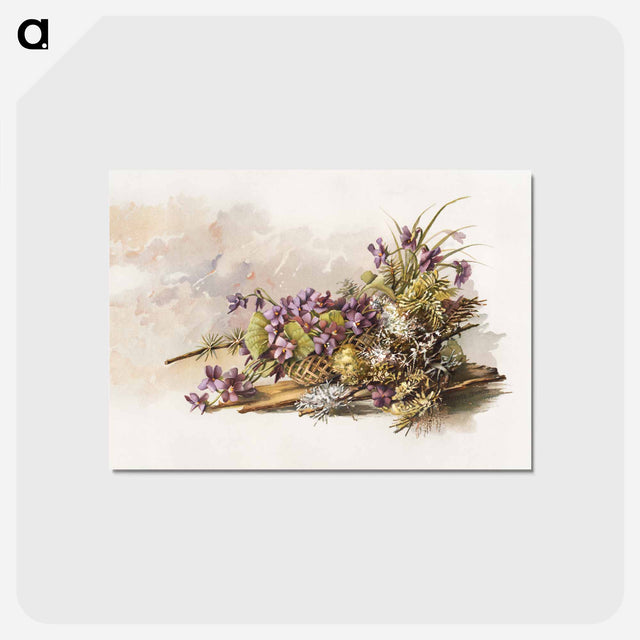 アートポストカード-Violets
 - ボストン公共図書館 Postcard.
