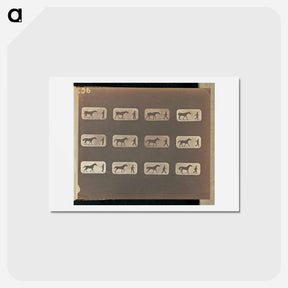 アートポストカード-Walking - Irregular
 - エドワード マイブリッジ Postcard.