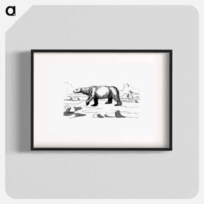 アートポスター-Polar Bear
 - 大英図書館 Poster.