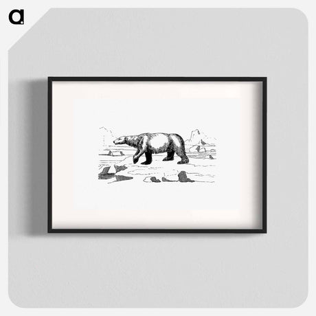 アートポスター-Polar Bear
 - 大英図書館 Poster.