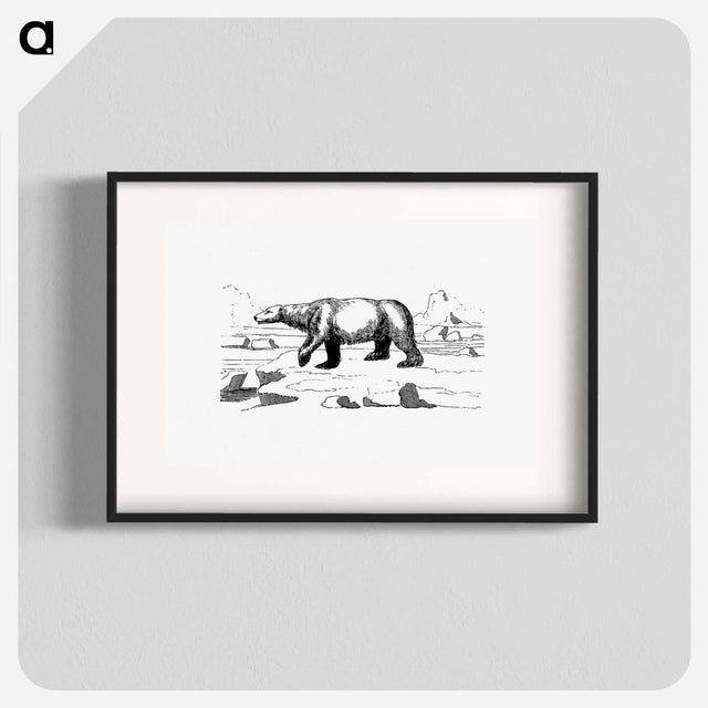 アートポスター-Polar Bear
 - 大英図書館 Poster.