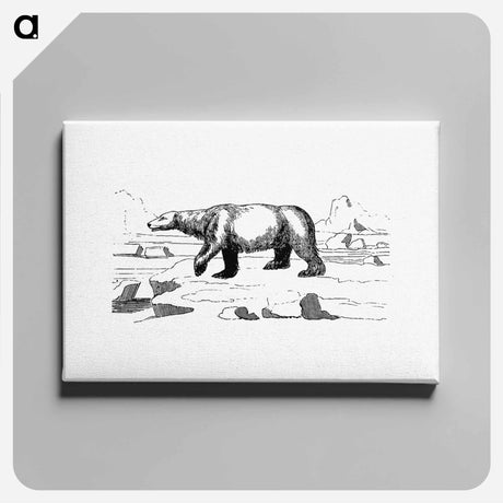 アートパネル-Polar Bear
 - 大英図書館 Canvas.