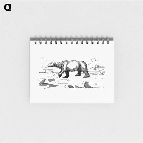 アートメモ帳-Polar Bear
 - 大英図書館 Memo.