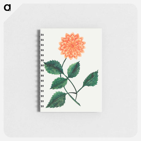 アートメモ帳-Dahlia
 - クリーブランド美術館 Memo.