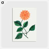 アートポストカード-Dahlia
 - クリーブランド美術館 Postcard.