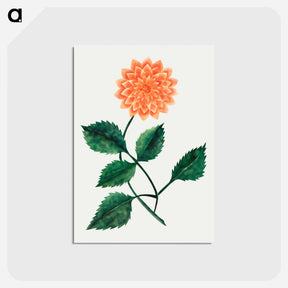 アートポストカード-Dahlia
 - クリーブランド美術館 Postcard.