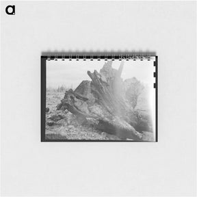 アートメモ帳-Untitled photo - ドロテア ラング Memo.