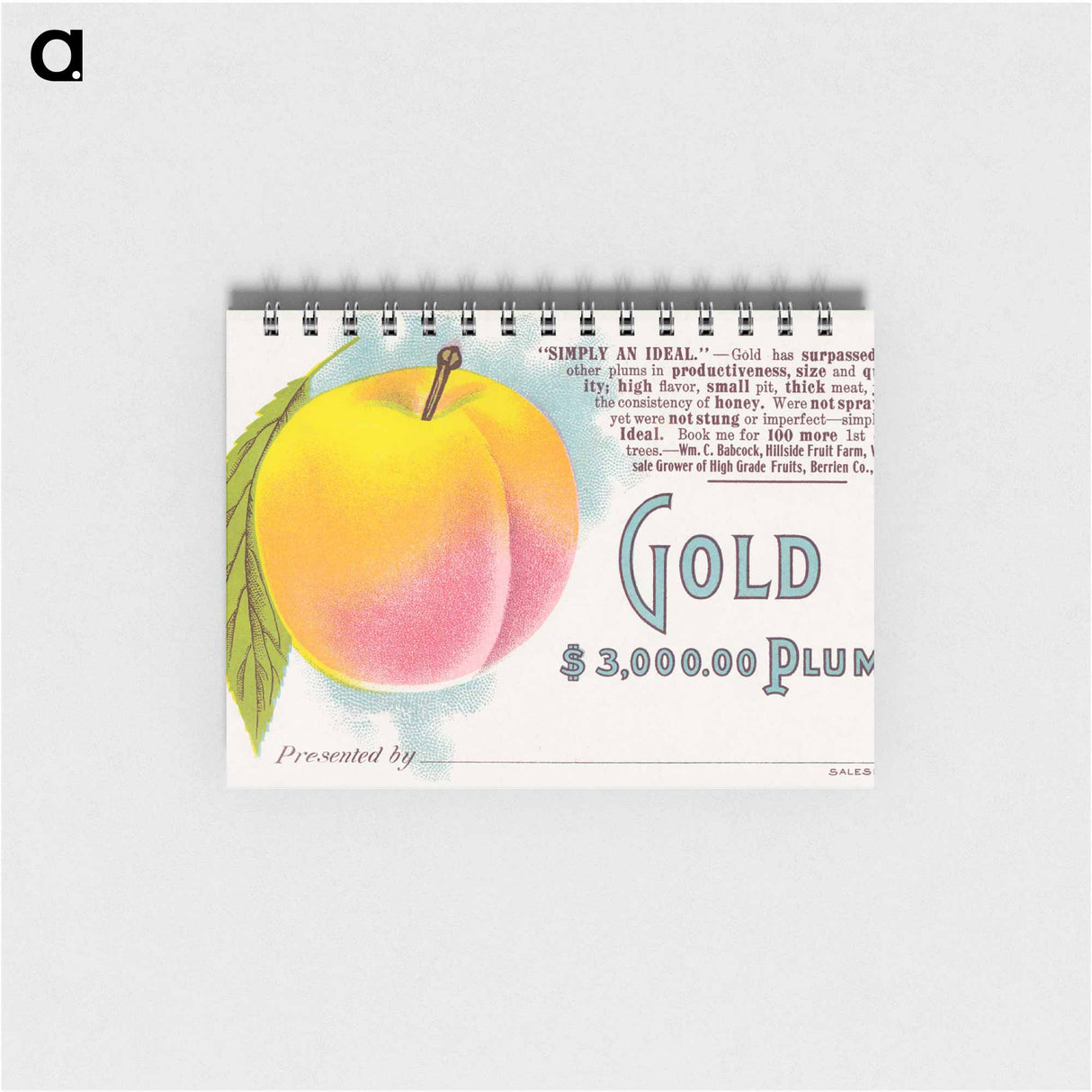 アートメモ帳-Gold Plum
 - ボストン公共図書館 Memo.
