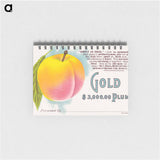 アートメモ帳-Gold Plum
 - ボストン公共図書館 Memo.