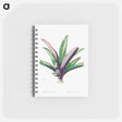 アートメモ帳-Tradescantia Discolor
 - クリーブランド美術館 Memo.