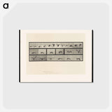 アートポストカード-Vulture in Flight
 - エドワード マイブリッジ Postcard.