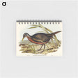 アートメモ帳-Chestnut-bellied Rail
 - オーストラリアの鳥 Memo.