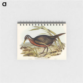 アートメモ帳-Chestnut-bellied Rail
 - オーストラリアの鳥 Memo.
