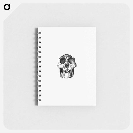 アートメモ帳-Skull from Voyages and Adventures in Equatorial Africa
 - 大英図書館 Memo.
