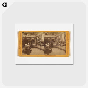 アートポストカード-Views in Woodward's Gardens
 - エドワード マイブリッジ Postcard.