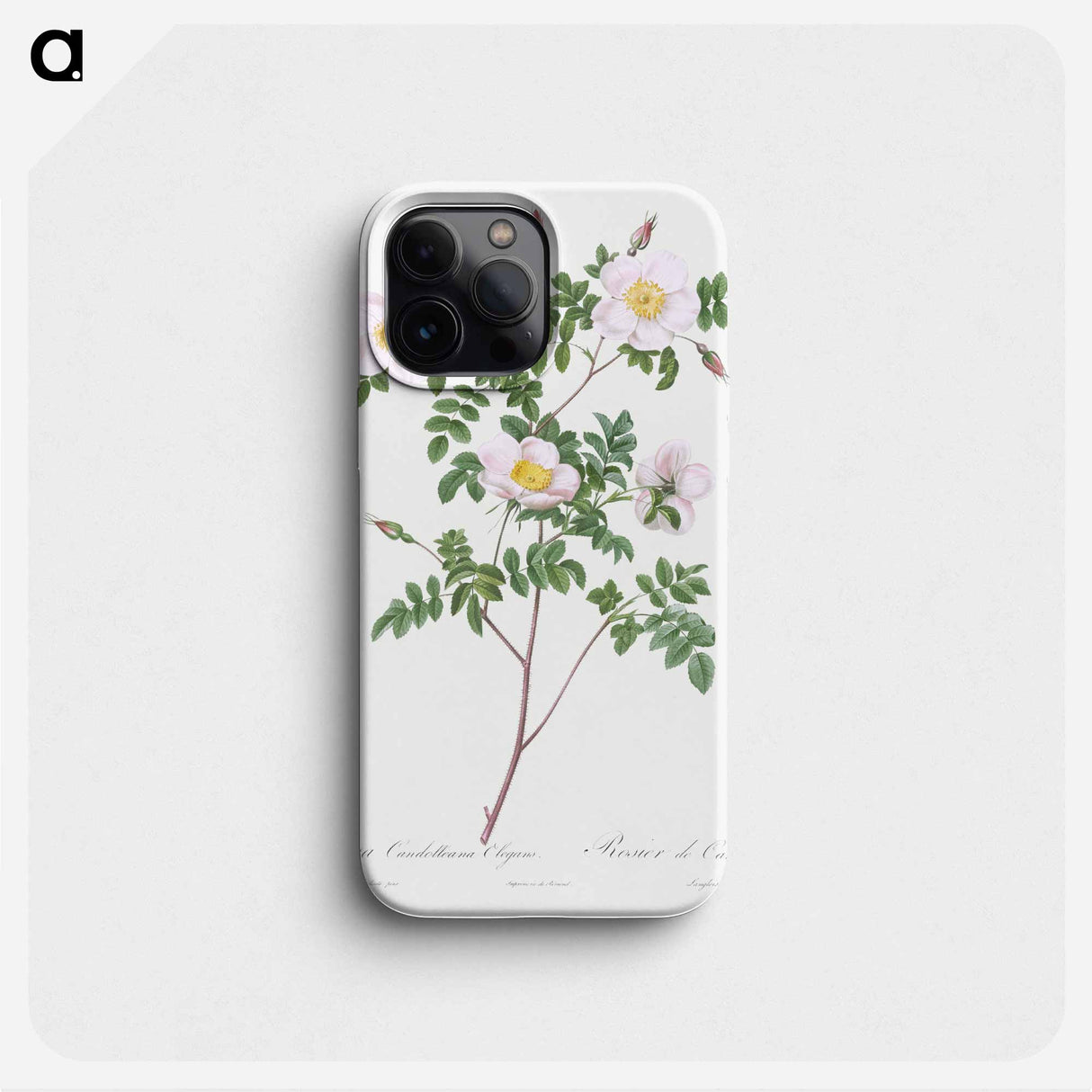 De Candolle's white rose - ピエール ジョゼフ ルドゥーテ Phone Case.