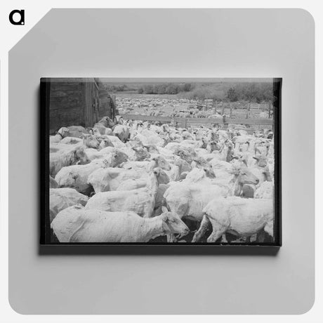 アートパネル-Lumberjacks in Cowlitz County
 - ラッセル リー Canvas.