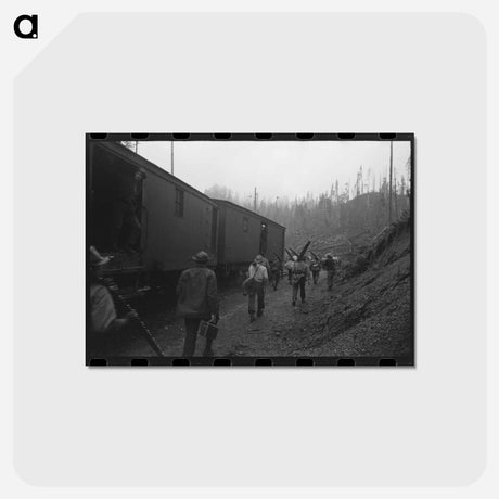 アートポストカード-Lumberjacks in Cowlitz County
 - ラッセル リー Postcard.