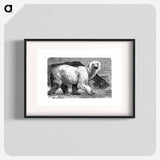 アートポスター-White Bear from Amerika
 - 大英図書館 Poster.