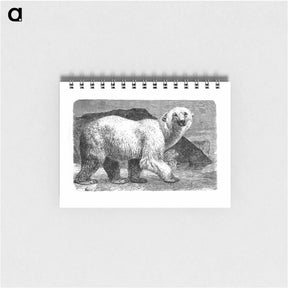 アートメモ帳-White Bear from Amerika
 - 大英図書館 Memo.
