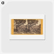アートポストカード-Piedmont Springs
 - エドワード マイブリッジ Postcard.