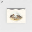 アートメモ帳-Pectoral Quail
 - オーストラリアの鳥 Memo.