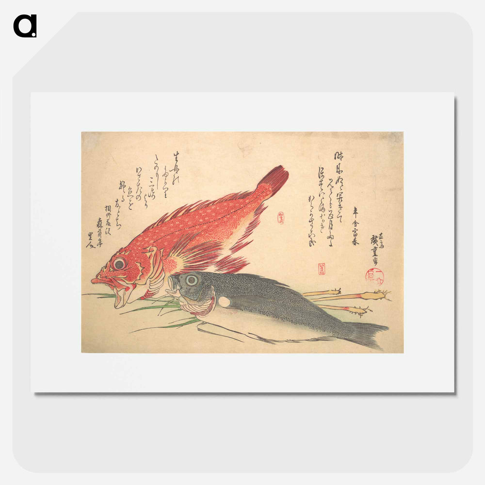 アートポスター-Isaki and Kasago Fish, from the series Uozukushi (Every Variety of Fish)
 - 歌川 広重 Poster.