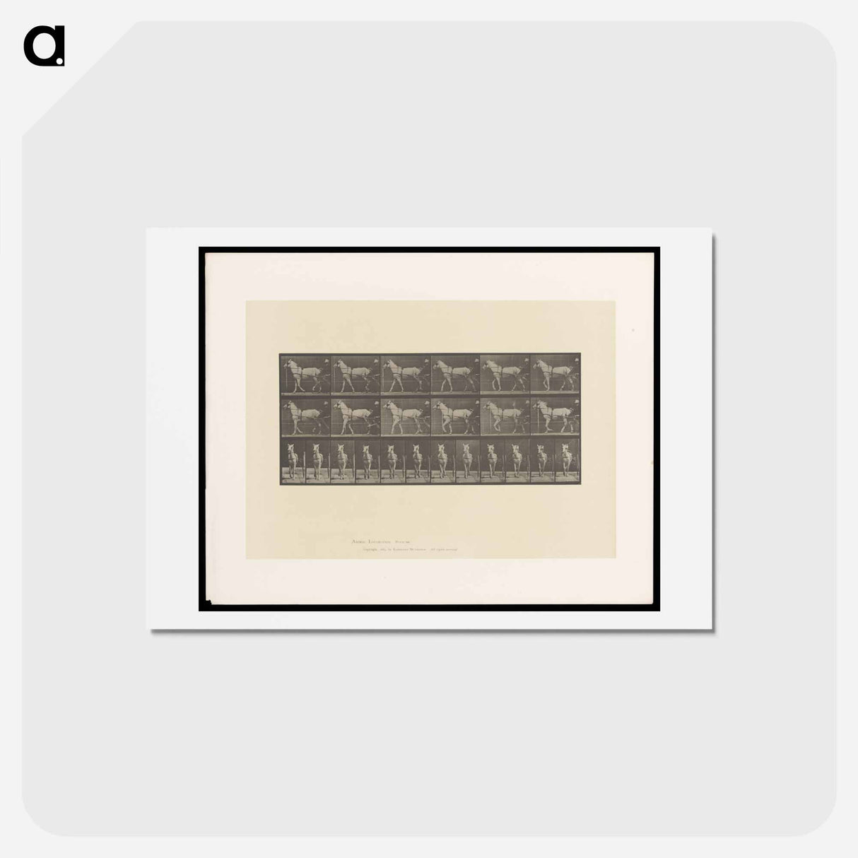 アートポストカード-Sulky Driver
 - エドワード マイブリッジ Postcard.